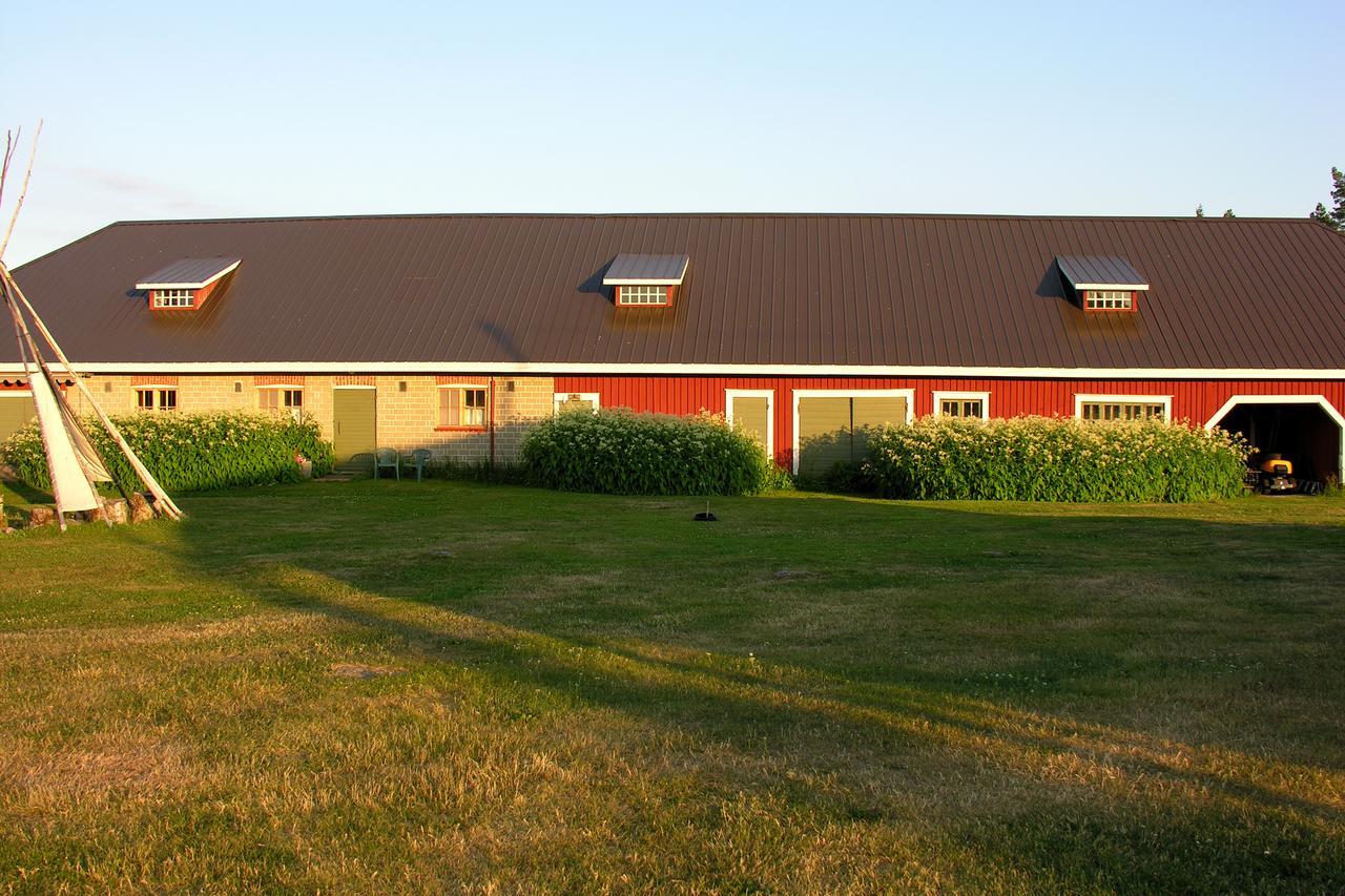 Vila Hankaniemen Tila Ähtäri Exteriér fotografie