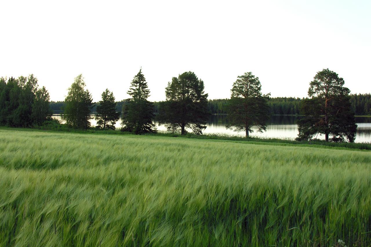 Vila Hankaniemen Tila Ähtäri Exteriér fotografie
